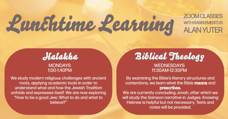 Banner Image for Lunchtime Learning - Halakha